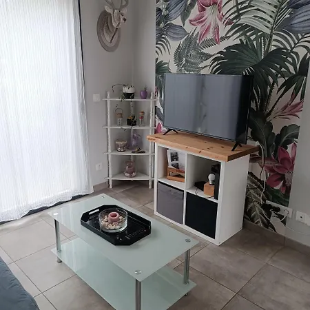 Maison Au Calme Proche Albi *